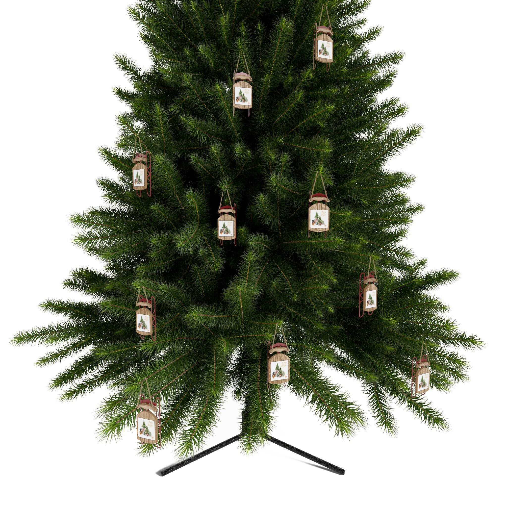 Chickens Sled Ornaments